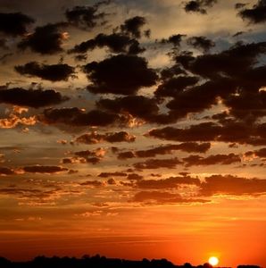 Meet your Posher, Ria